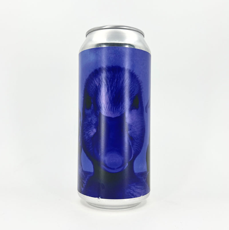 Duckpond Black & Blue Blackcurrant & Blueberry Sour Can 440ml