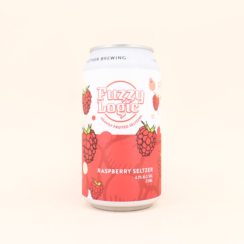 Aether Fuzzy Logic Raspberry Seltzer Can 375ml